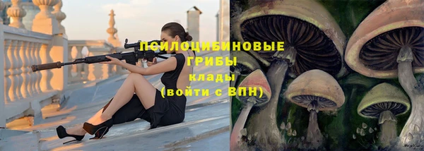 первитин Костерёво